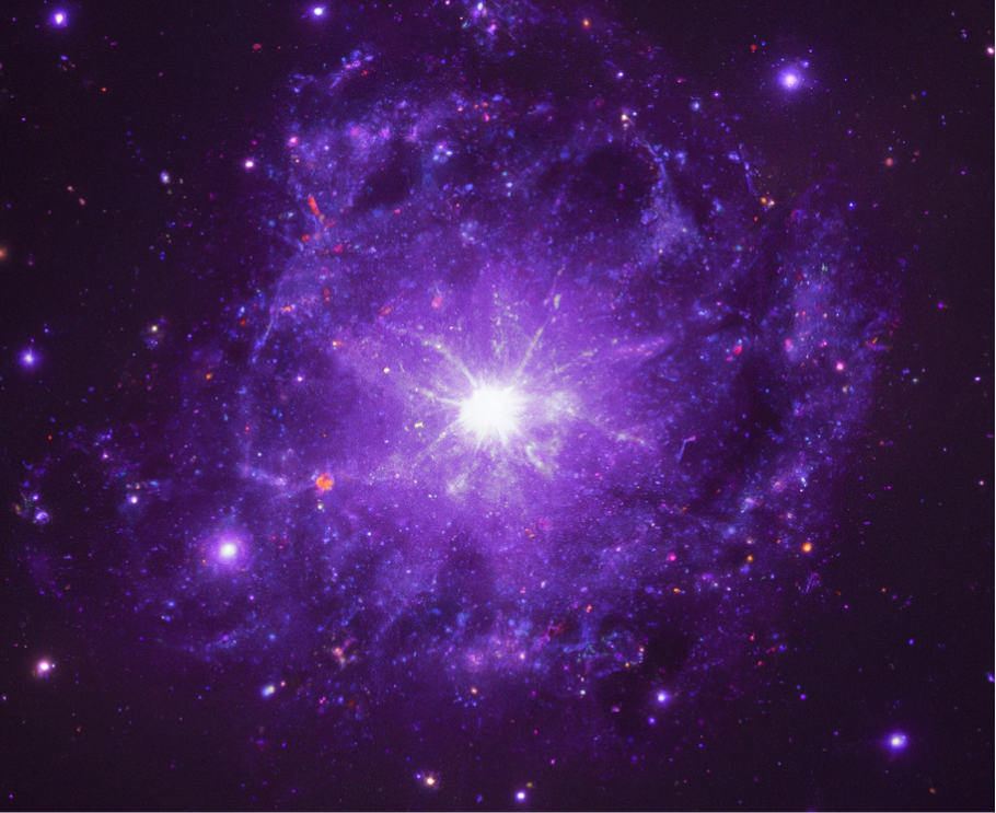 Image of purple star